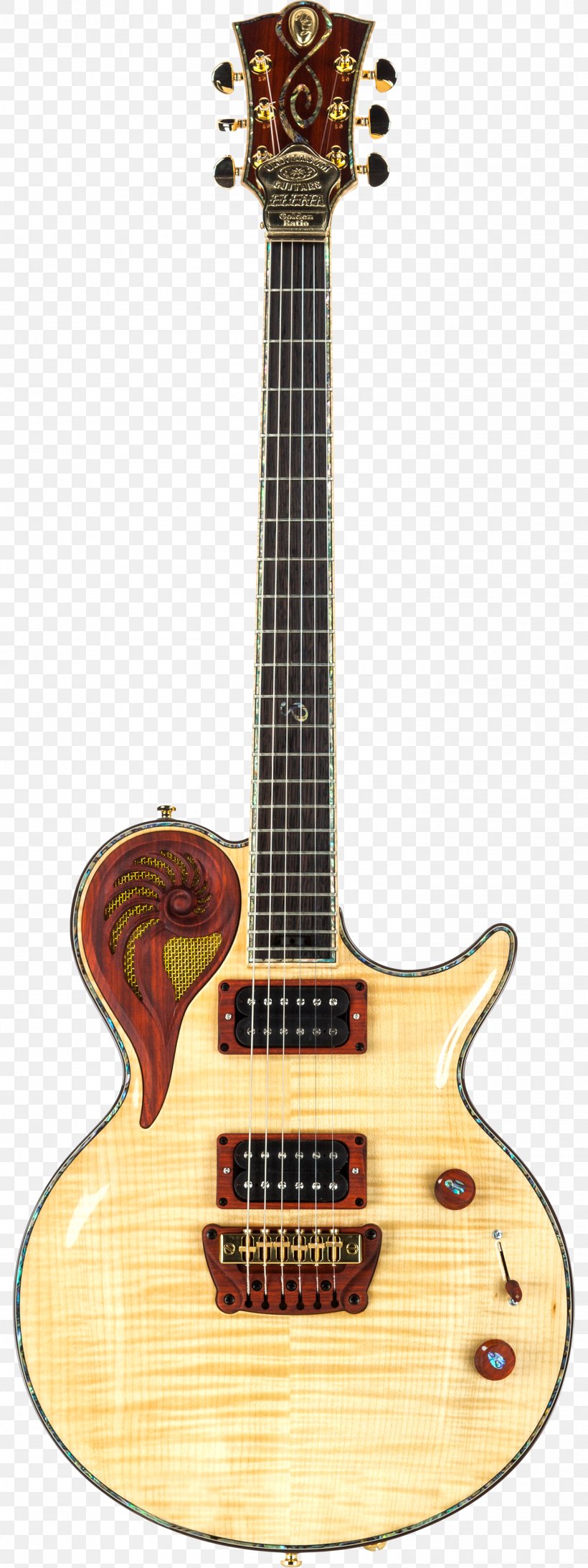 Bass Guitar Musical Instruments Classical Guitar Cordoba GK Studio, PNG, 1500x4000px, Watercolor, Cartoon, Flower, Frame, Heart Download Free