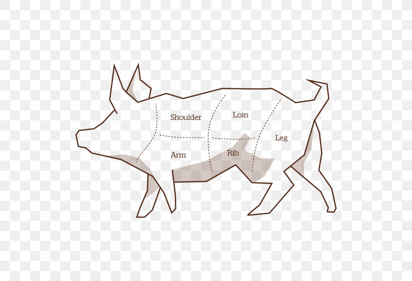 Domestic Pig Meat Pork Cooking, PNG, 560x560px, Domestic Pig, Area, Art, Beef, Black And White Download Free