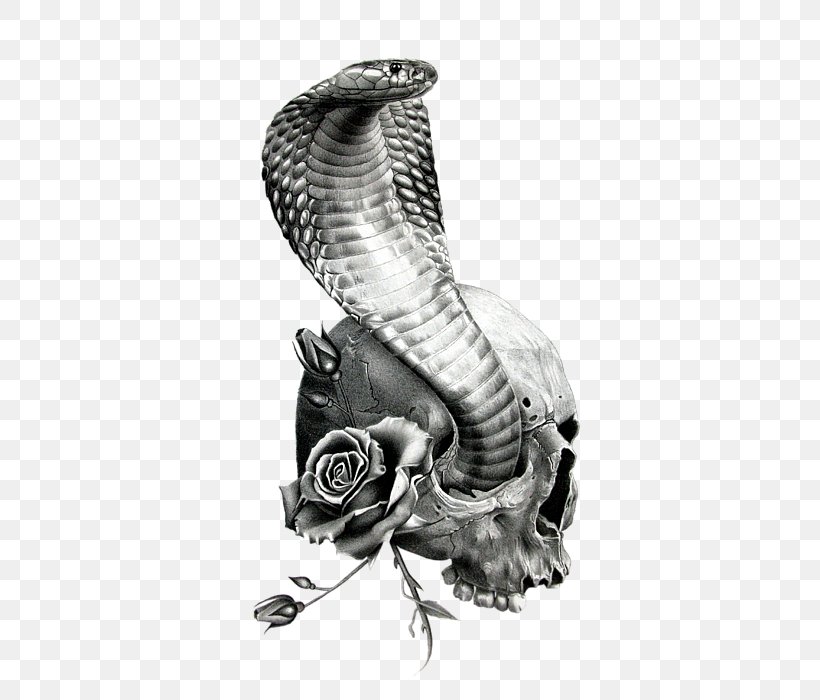 Drawing Snakes Pencil Art Cobra, PNG, 504x700px, Drawing, Art, Artist, Automotive Design, Black And White Download Free
