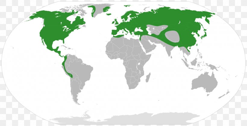 Felidae Eurasian Lynx Pliocene Bobcat United States, PNG, 1280x657px, Felidae, Area, Bobcat, Canada, Canada Lynx Download Free