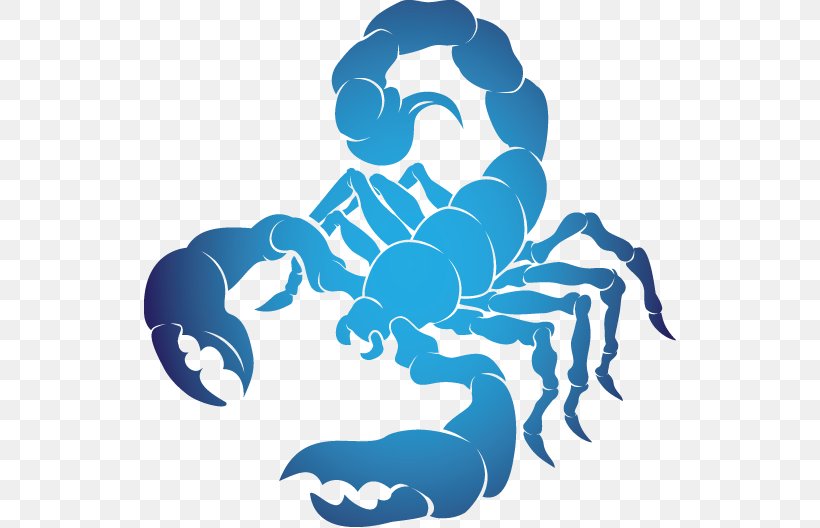 Scorpio Horoscope Astrological Sign Astrology Zodiac, PNG, 532x528px, Scorpio, Aries, Astrological Sign, Astrology, Blue Download Free