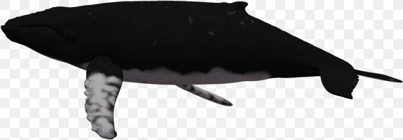 Whale Cartoon, PNG, 982x342px, Whales, Animal, Blue Whale, Bowhead Whale, Cartoon Download Free