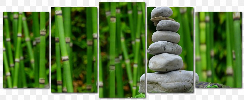 4K Resolution Bamboo Desktop Wallpaper Garden, PNG, 1200x492px, 4k  Resolution, 5k Resolution, 8k Resolution, Bamboo, Garden