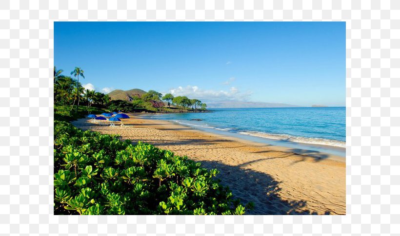Caribbean Sea Water Resources Beach Coast, PNG, 705x485px, Caribbean, Bay, Beach, Coast, Coastal And Oceanic Landforms Download Free