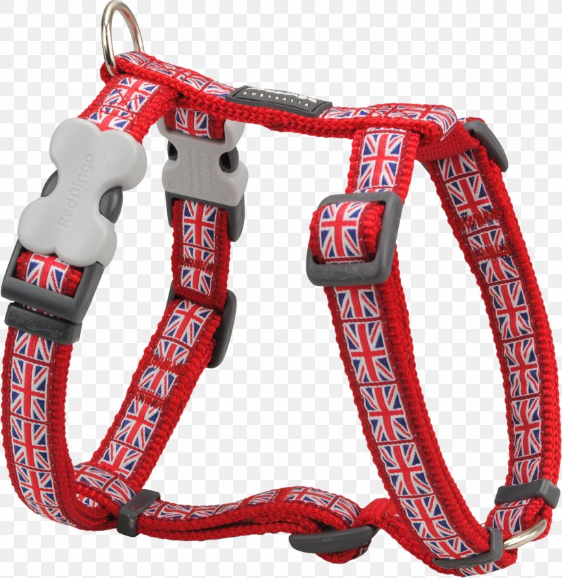 Dingo Dog Harness Leash French Bulldog Dog Collar, PNG, 3000x3087px, Dingo, Collar, Dog, Dog Breed, Dog Collar Download Free