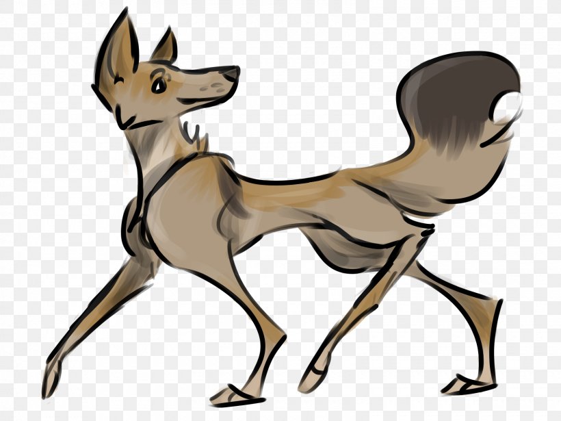 Dog Breed Red Fox Deer Macropods, PNG, 1600x1200px, Dog Breed, Breed, Carnivoran, Deer, Dog Download Free