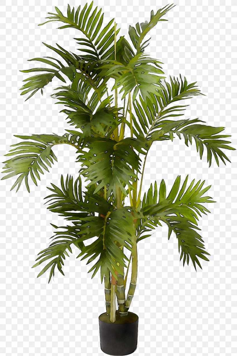 Nearly Natural, Inc. Artificial & Dried Flora Plants Palm Trees, PNG, 1146x1720px, Nearly Natural Inc, Arecales, Artificial Dried Flora, Artificial Flower, Borassus Flabellifer Download Free