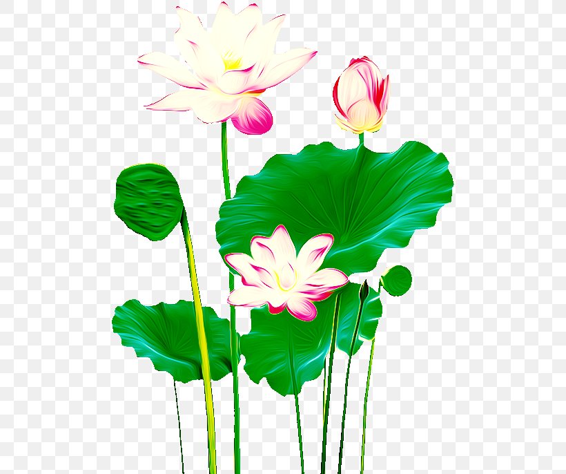Nelumbo Nucifera Icon, PNG, 500x686px, Nelumbo Nucifera, Aquatic Plant, Cut Flowers, Flora, Floral Design Download Free