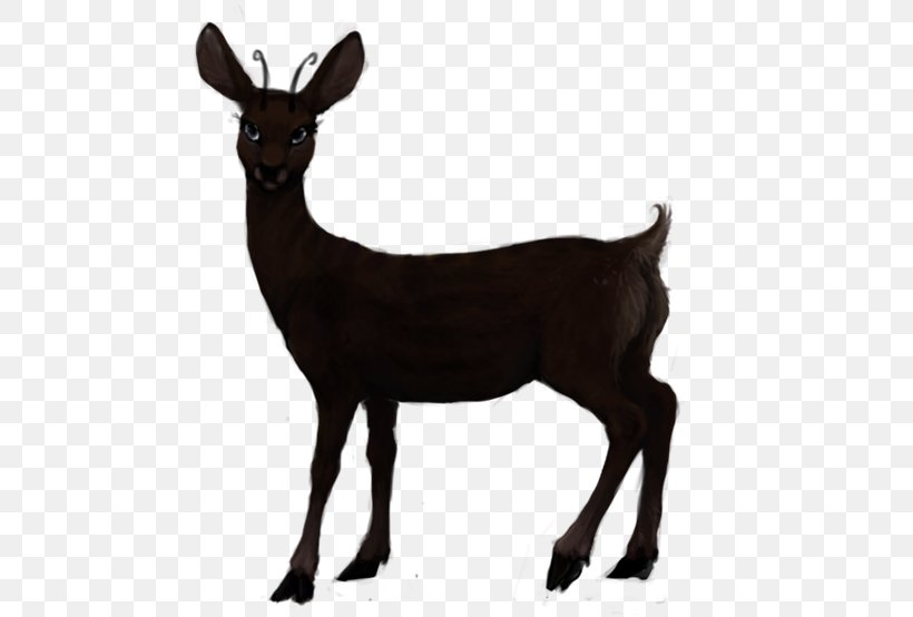 Roe Deer Red Deer White-tailed Deer Elk, PNG, 500x554px, Roe Deer, Antelope, Antler, Capreolus, Cow Goat Family Download Free