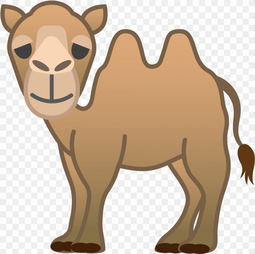 Camel Camelid Arabian Camel Cartoon Brown, PNG, 951x948px, Camel, Arabian Camel, Bactrian Camel, Brown, Camelid Download Free