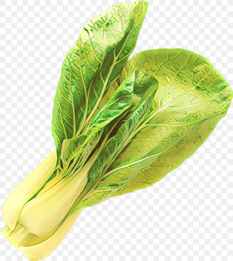 Leaf Vegetable Vegetable Choy Sum Leaf Chard, PNG, 1427x1598px, Cartoon, Chard, Choy Sum, Flower, Food Download Free