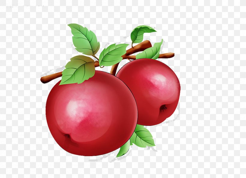 Barbados Cherry Apple Auglis, PNG, 999x723px, Barbados Cherry, Acerola, Acerola Family, Apple, Art Download Free