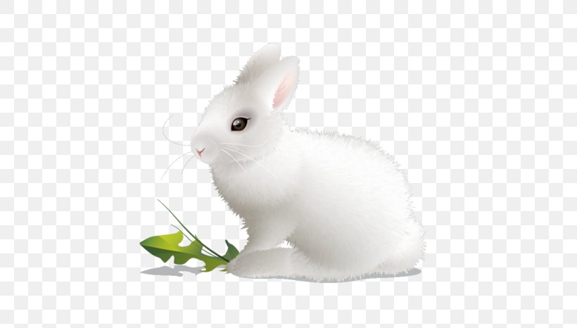 Domestic Rabbit White Rabbit European Rabbit, PNG, 600x466px, Domestic Rabbit, Digital Scrapbooking, European Rabbit, Hare, Mammal Download Free