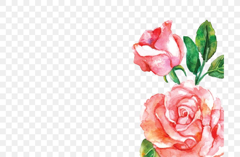 Gramado Watercolor Painting Flower Pink, PNG, 710x538px, Gramado, Artificial Flower, Bachelor, Centifolia Roses, Color Download Free