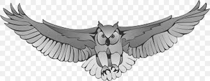 Great Horned Owl Harry Potter Drawing Clip Art, PNG, 1026x400px, Owl, Artwork, Barn Owl, Beak, Bird Download Free