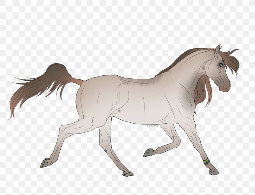 Mane Mustang Foal Stallion Colt, PNG, 900x688px, Mane, Animal Figure, Bridle, Colt, Colt S Manufacturing Company Download Free