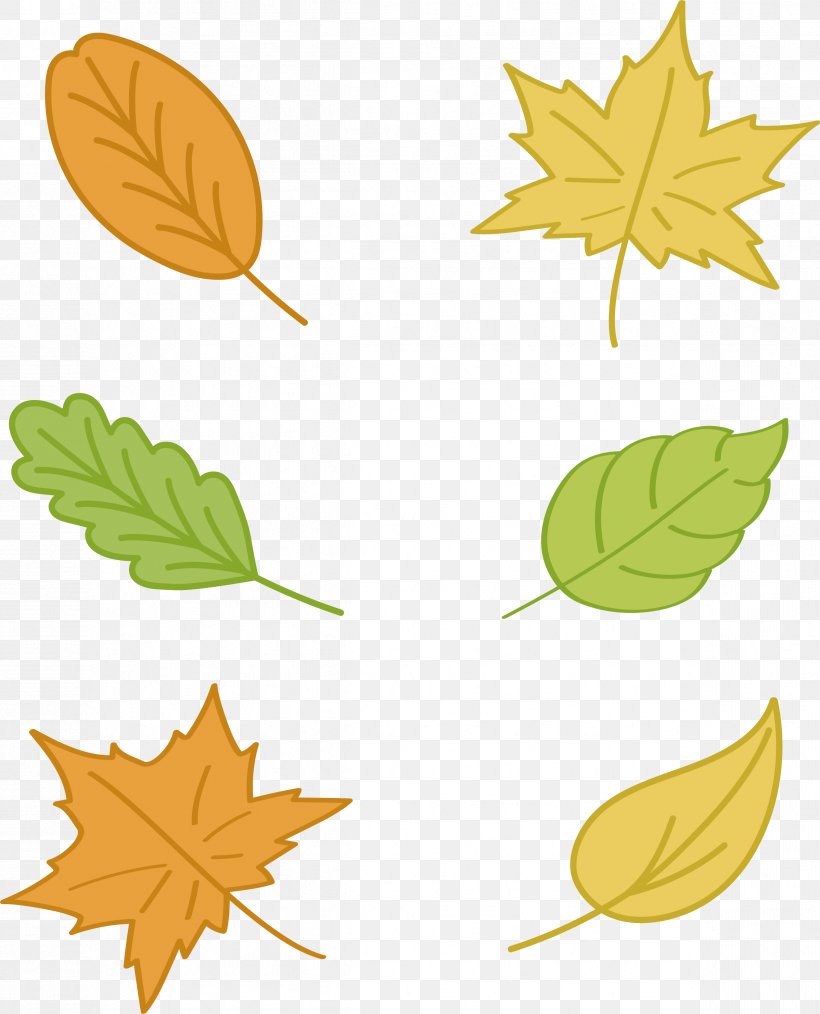 Maple Leaf Autumn Euclidean Vector Yellow, PNG, 2396x2963px, Leaf, Autumn, Autumn Leaf Color, Color, Flower Download Free