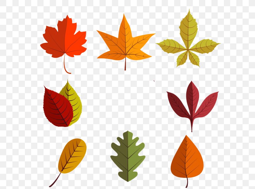 Leaf Euclidean Vector Autumn, PNG, 650x609px, Leaf, Autumn, Autumn Leaf Color, Branch, Deciduous Download Free