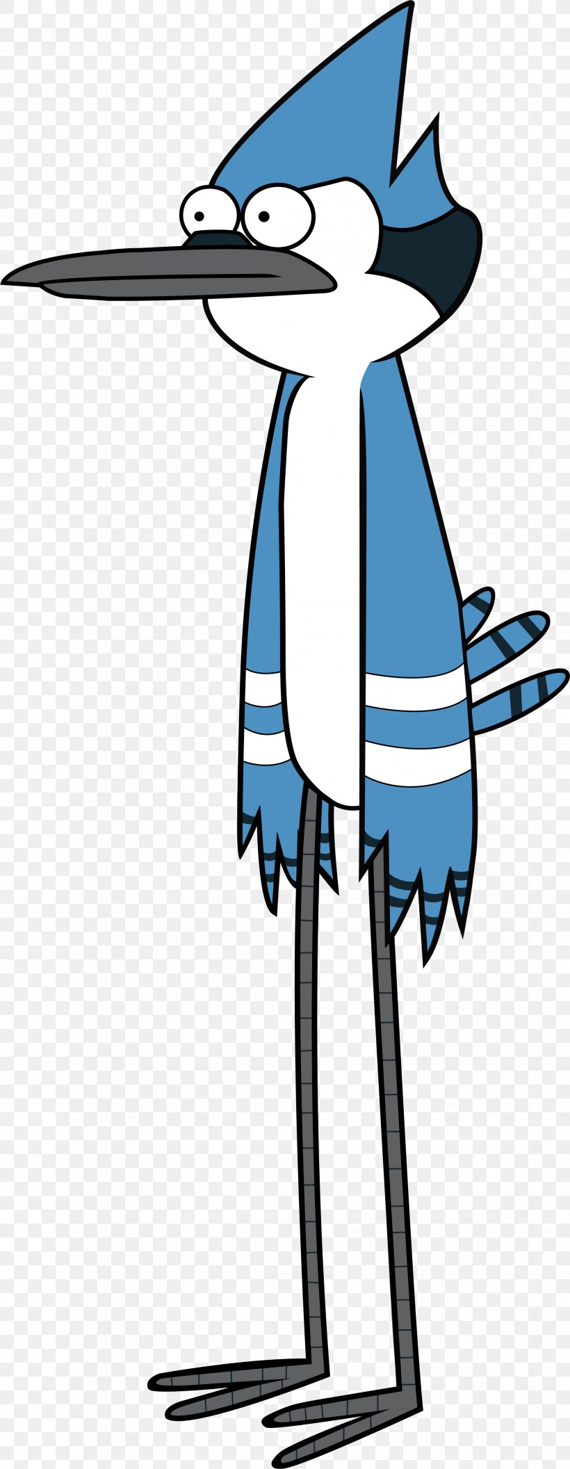 Mordecai Rigby Cartoon Network Character Drawing, PNG, 2038x5254px, Mordecai, Adventure Time, Animation, Art, Artwork Download Free