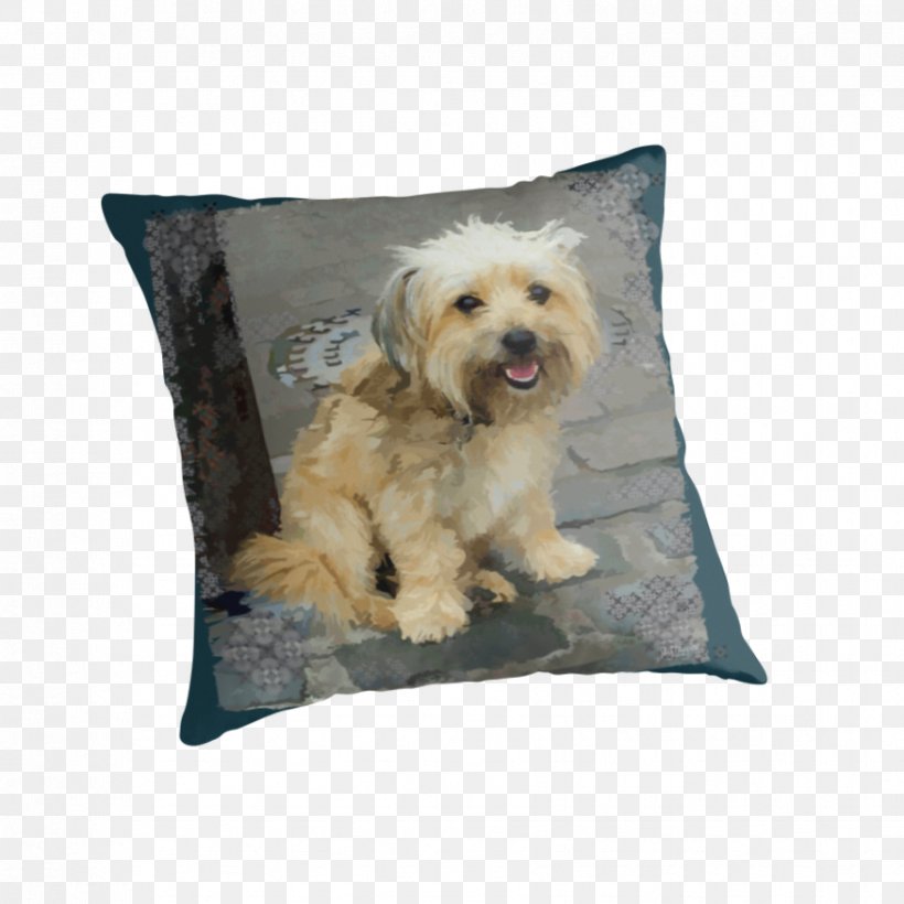 Tibetan Terrier Morkie Schnoodle Yorkshire Terrier Lhasa Apso, PNG, 875x875px, Tibetan Terrier, Bed, Carnivoran, Couch, Cushion Download Free