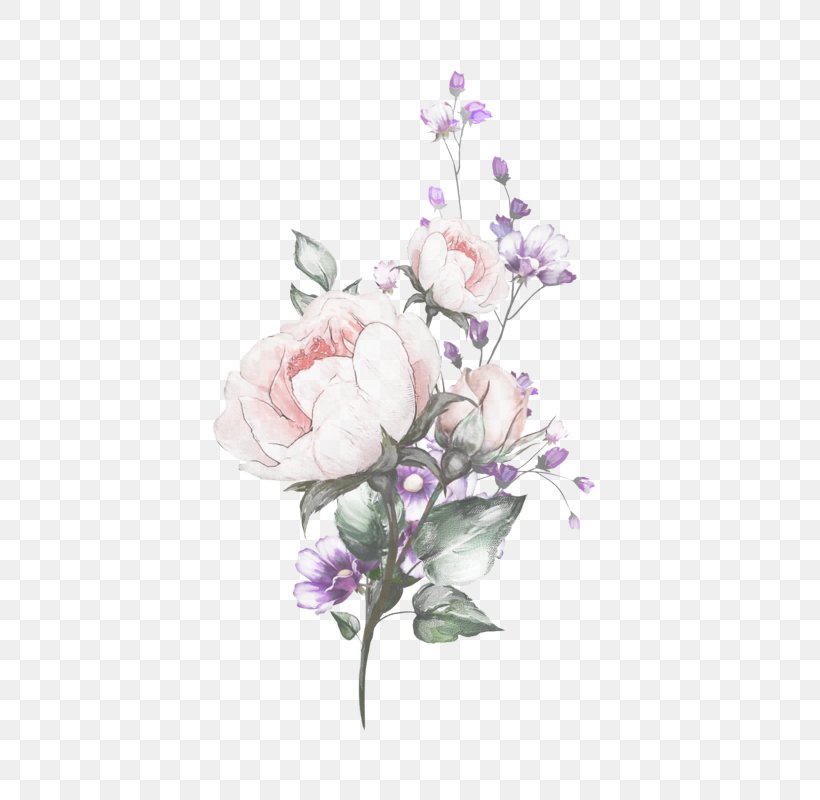 Lavender, PNG, 508x800px, Flower, Bouquet, Branch, Cut Flowers, Lavender Download Free