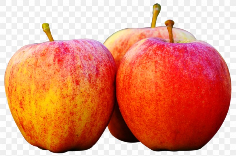 Apple Fruit Clip Art, PNG, 1007x666px, Apple, Auglis, Diet Food, Food, Fruit Download Free