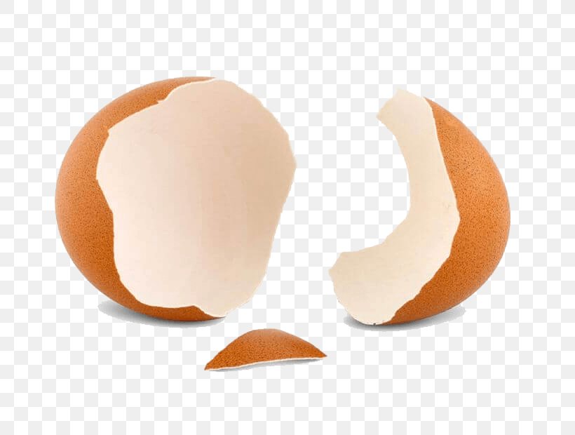 Eggshell Stock Photography 123rf, PNG, 772x620px, Egg, Advertising, Eggshell, Fish, Information Download Free