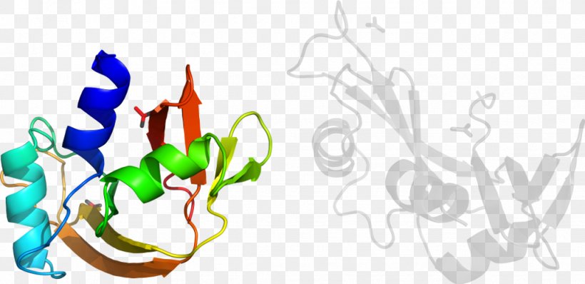 Graphic Design Leaf Plant Stem Clip Art, PNG, 1028x500px, Leaf, Art, Artwork, Branch, Flora Download Free