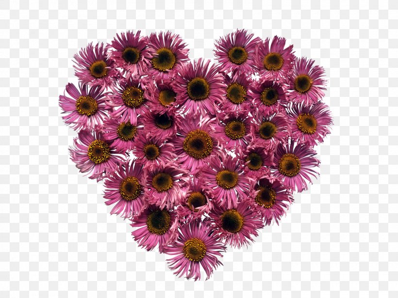 Valentine's Day Heart Desktop Wallpaper Flower, PNG, 1600x1200px, Valentine S Day, Annual Plant, Aster, Chrysanths, Cut Flowers Download Free