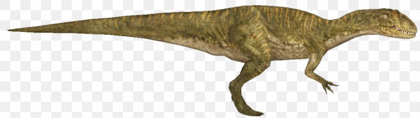 Velociraptor Animal Tyrannosaurus, PNG, 1074x304px, Velociraptor, Animal, Animal Figure, Beak, Dinosaur Download Free