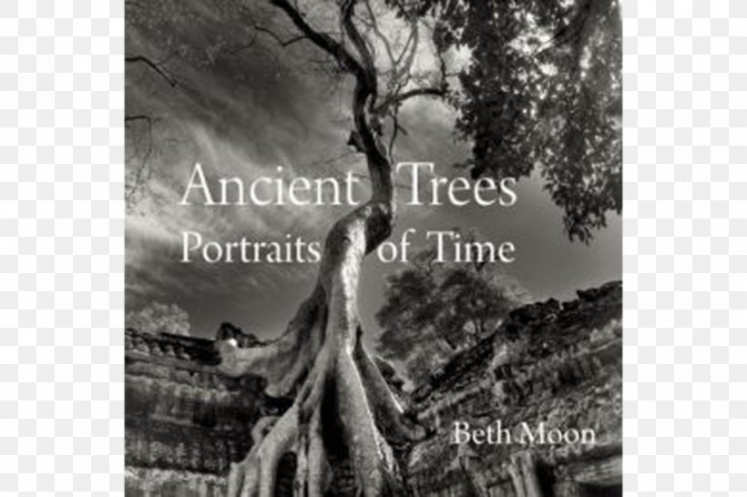 Ancient Trees: Portraits Of Time Amazon.com Photography The Hidden Life Of Trees: What They Feel, How They Communicate—Discoveries From A Secret World, PNG, 900x600px, Amazoncom, Black And White, Book, Bookselling, Hardcover Download Free