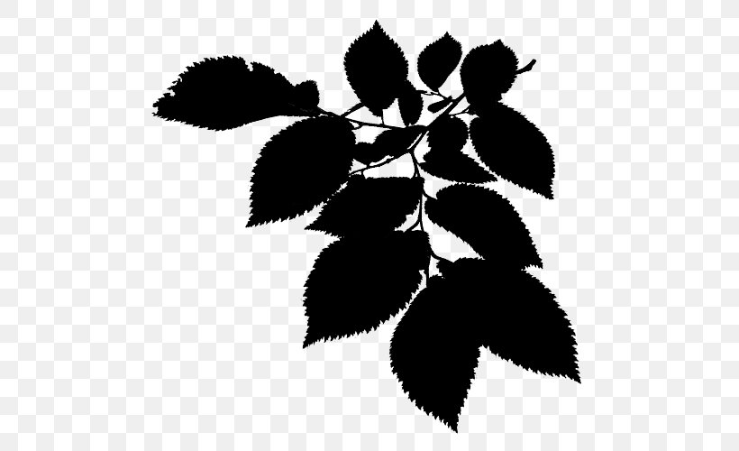 Twig Black & White, PNG, 500x500px, Twig, Black White M, Blackandwhite, Botany, Branch Download Free