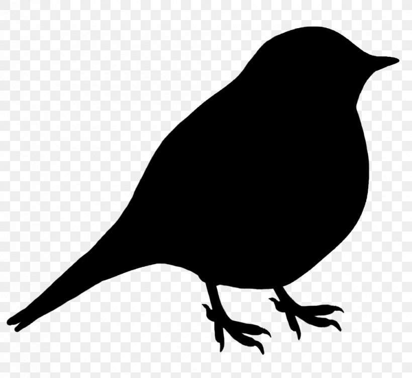 Bird Silhouette Gulls Clip Art, PNG, 1008x924px, Bird, American Crow, Beak, Bird Flight, Black And White Download Free