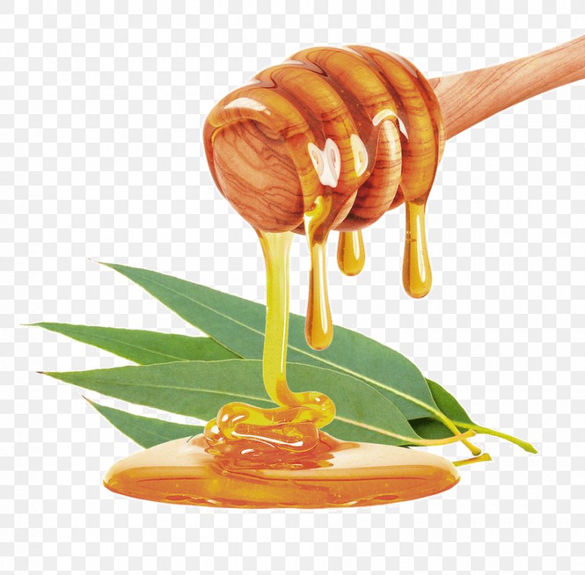 Mānuka Honey Stock Photography Honey Bee Food, PNG, 900x885px, Honey, Food, Honey Bee, Orange Blossom, Photography Download Free