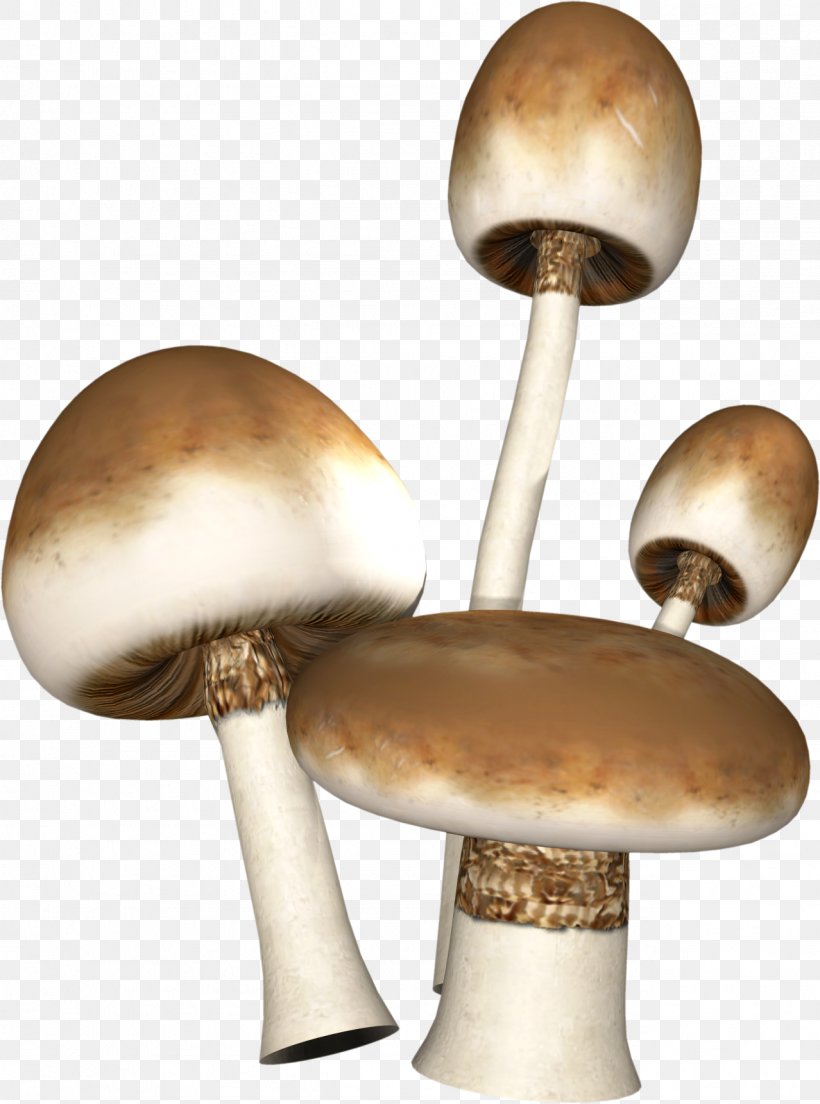 Mushroom, PNG, 1278x1721px, Mushroom, Ingredient, Lamp, Light Fixture, Lighting Download Free