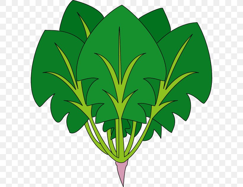 Spinach Food Royalty-free Clip Art, PNG, 612x631px, Spinach, Blog, Budi Daya, Cartoon, Flowering Plant Download Free