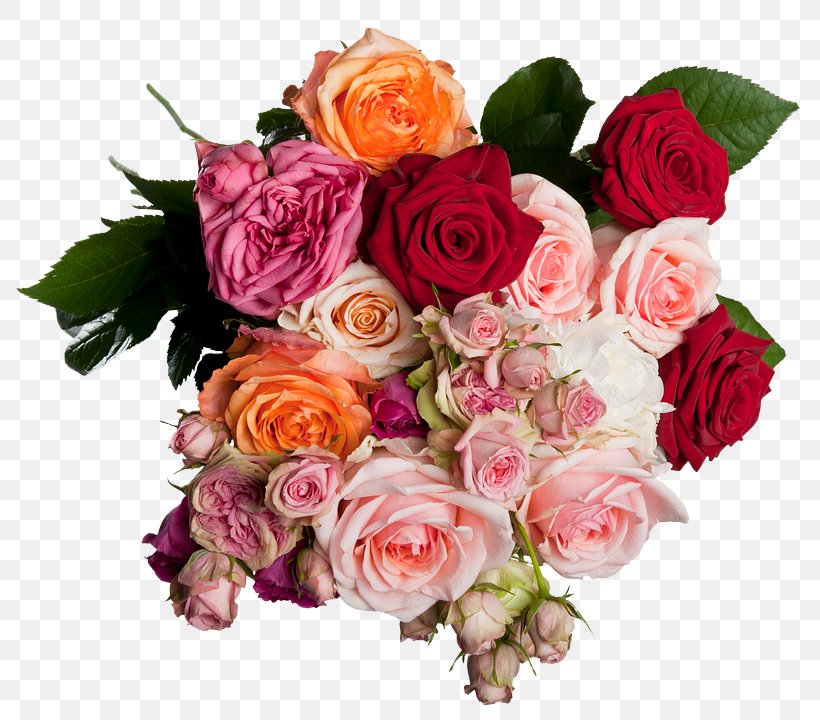Garden Roses, PNG, 817x720px, Flower, Bouquet, Cut Flowers, Floribunda, Flowering Plant Download Free