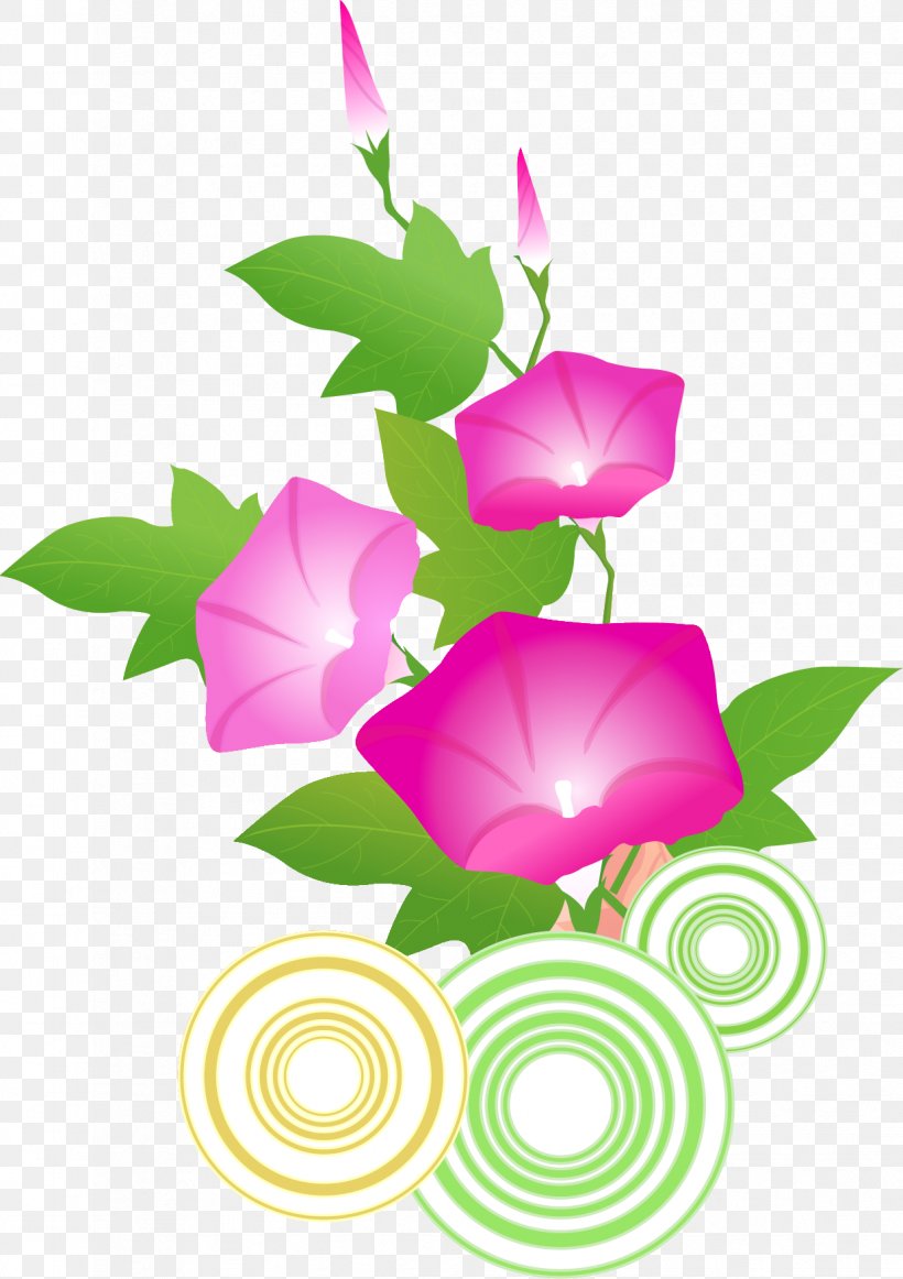 Vector Graphics Morning Glory Drawing Image, PNG, 1237x1753px, Morning Glory, Cut Flowers, Drawing, Flora, Floral Design Download Free