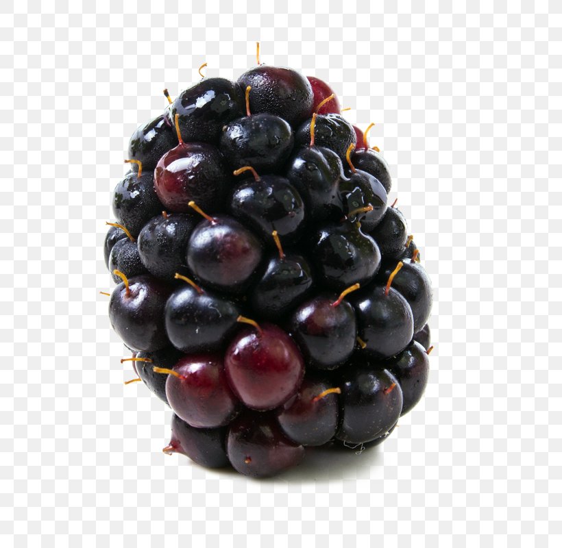 Boysenberry Food Blackberry Kotataberry, PNG, 800x800px, Berry, Amora, Bilberry, Blackberry, Blueberry Download Free