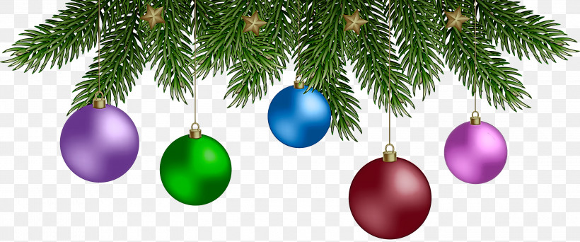 Christmas Ornament, PNG, 3000x1252px, Christmas Ornament, Branching, Christmas Day, Christmas Ornament M, Christmas Tree Download Free