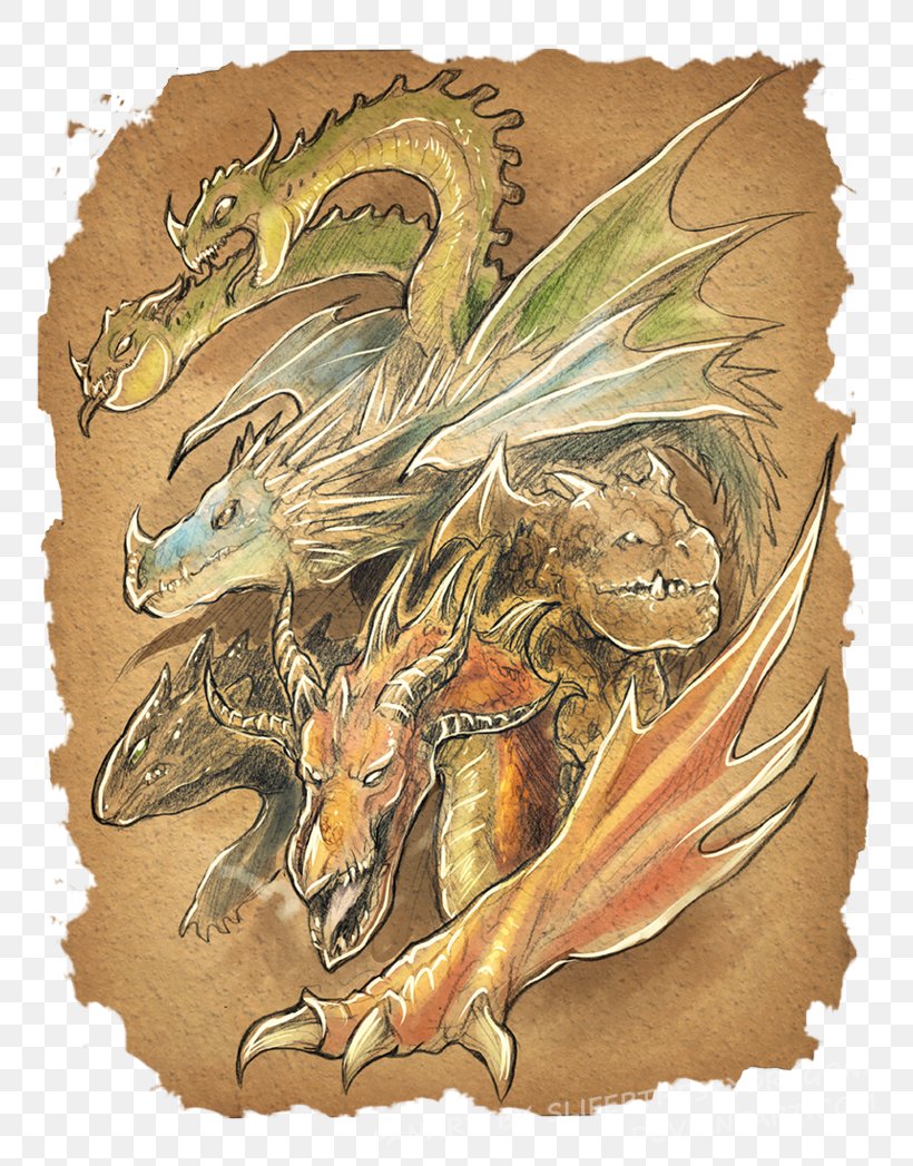 How To Train Your Dragon Drawing Sketch, PNG, 763x1047px, Dragon, Art, Carnivoran, Drawing, Dreamworks Animation Download Free