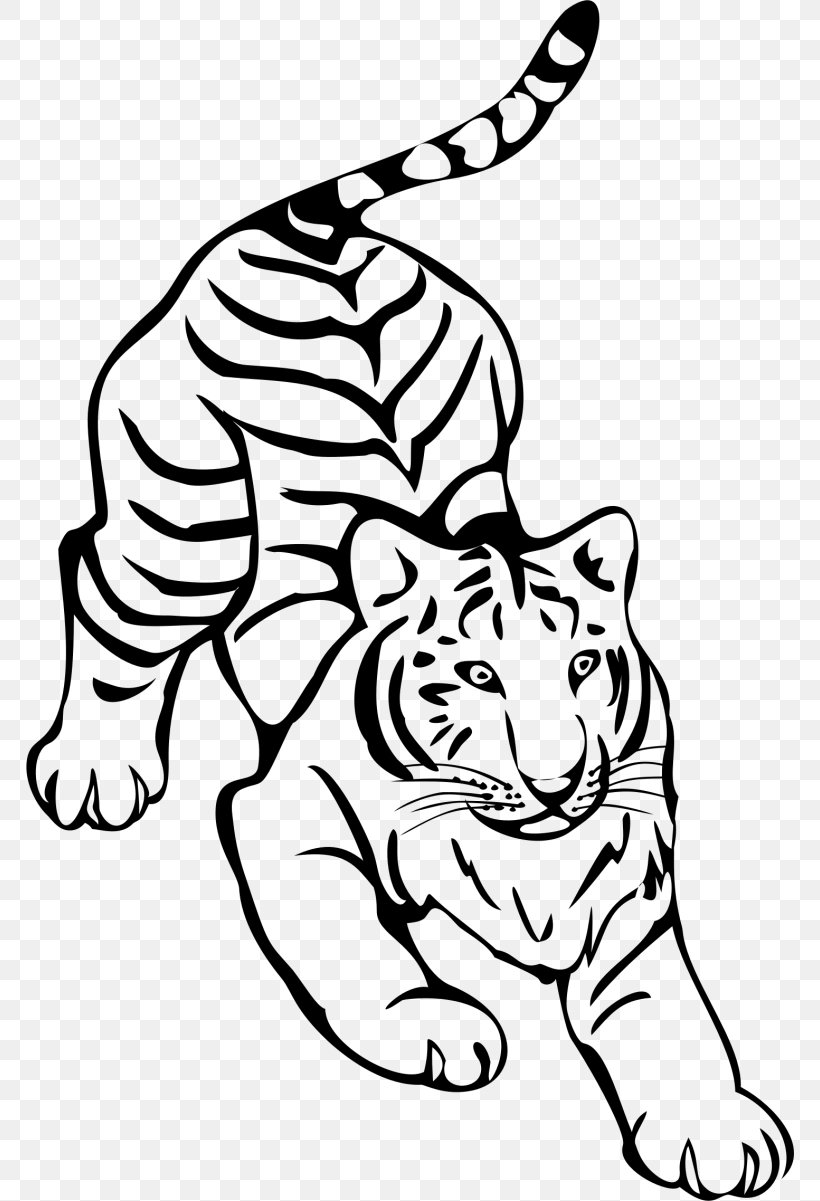 Tiger Whiskers Line Art Black And White Drawing, PNG, 768x1201px, Tiger, Art, Big Cats, Black, Black And White Download Free