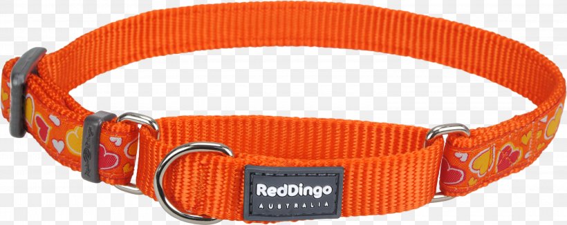 Dog Collar Martingale Dingo, PNG, 3000x1196px, Dog Collar, Collar, Dingo, Dog, Martingale Download Free