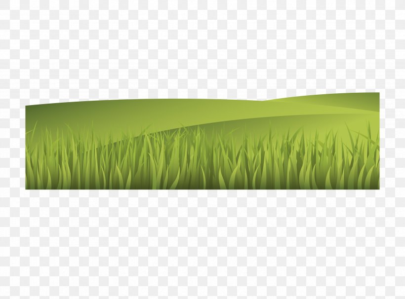 Illustration, PNG, 3335x2465px, Fukei, Commodity, Field, Grass, Grass Family Download Free