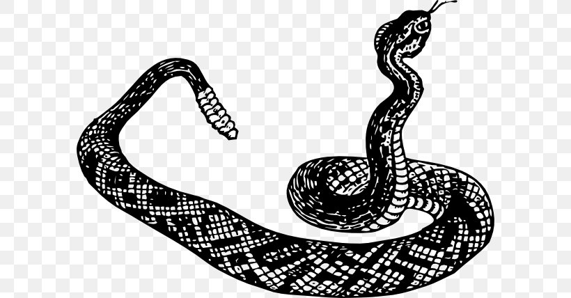 Rattlesnake Vipers Clip Art, PNG, 600x428px, Snake, Black And White, Boa Constrictor, Boas, Cobra Download Free