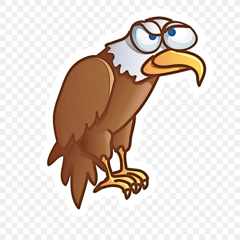 Bird Bald Eagle Bird Of Prey Eagle Beak, PNG, 1001x1001px, Bird, Accipitridae, Andean Condor, Bald Eagle, Beak Download Free