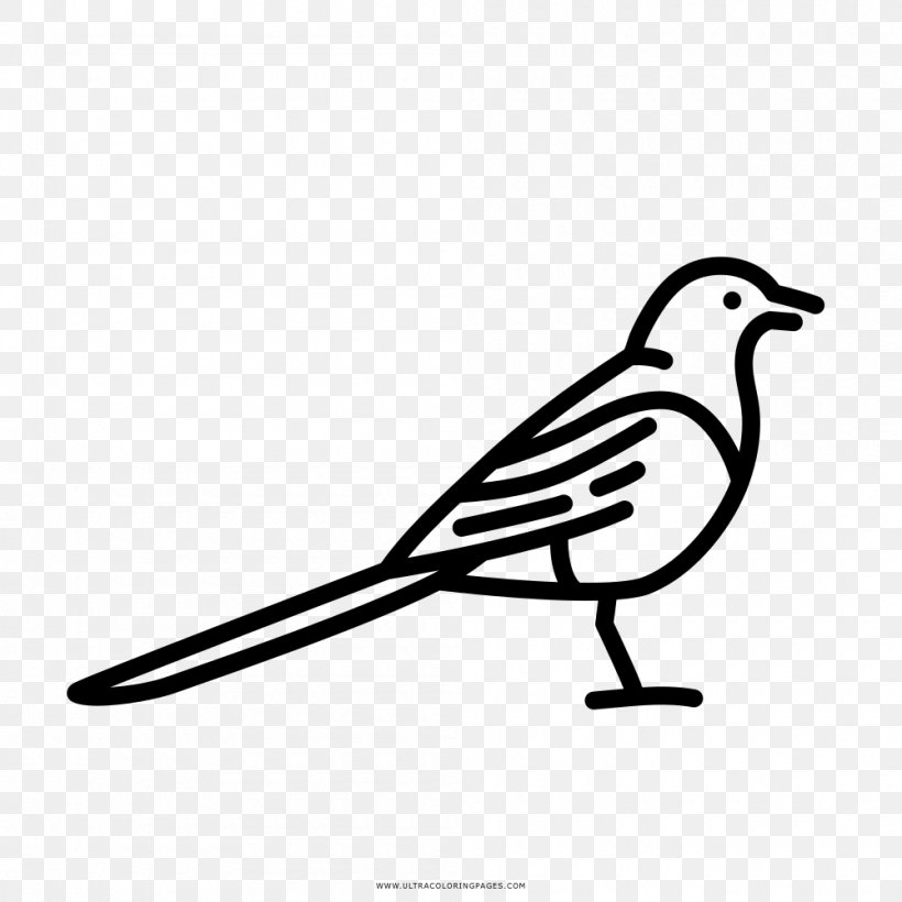 Drawing Coloring Book Watercolor Painting Ausmalbild, PNG, 1000x1000px, Drawing, Ausmalbild, Beak, Bird, Black And White Download Free