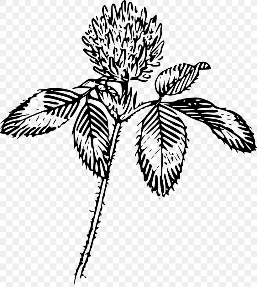 Four-leaf Clover Red Clover Clip Art, PNG, 1147x1280px, Fourleaf Clover, Art, Artwork, Black, Black And White Download Free