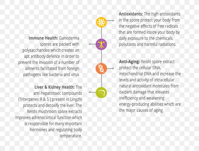 Lingzhi Mushroom Coffee Triterpene Spore, PNG, 761x621px, Lingzhi Mushroom, Ageing, Antioxidant, Area, Brand Download Free