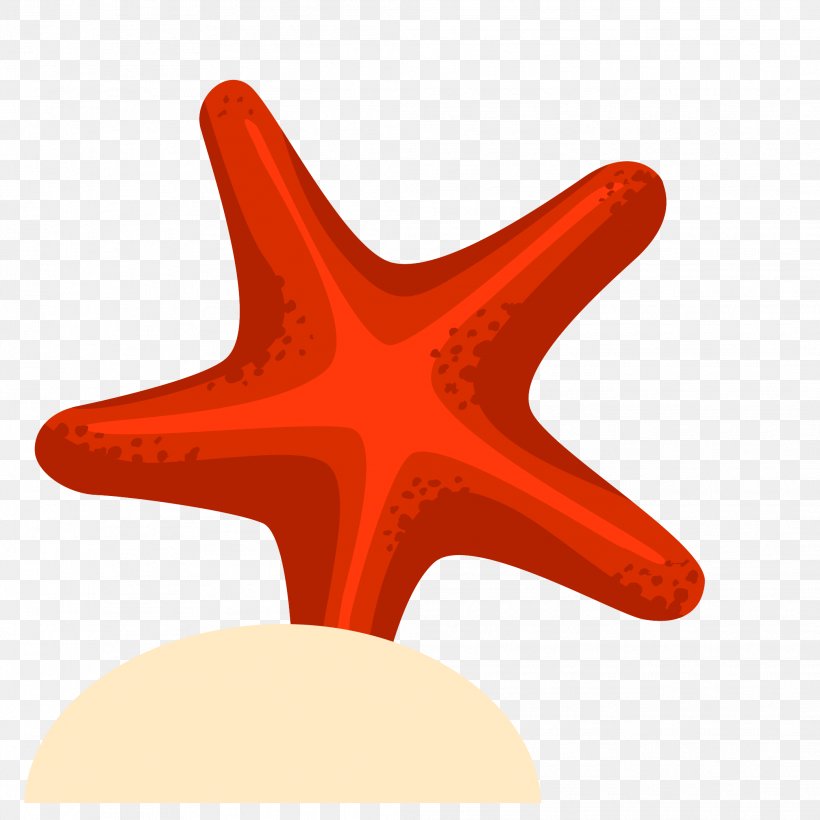 Starfish Drawing Euclidean Vector, PNG, 2083x2083px, Starfish, Animation, Cartoon, Designer, Drawing Download Free